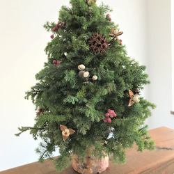 自然素材100％フレッシュ＆ドライフラワー　フレッシュグリーンと木の実のクリスマスツリー2021 6枚目の画像