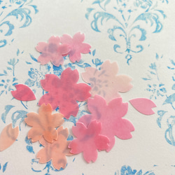 桜L・Mサイズ ほんのり透けるペーパーフレーク　クラフトパンチ　アルバム、色紙やラッピングに　D/423 3枚目の画像