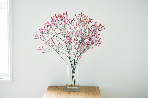 ハイブリッドスターチスドライフラワーチス濃いピンク 8本⇒6g〈No.35〉 ハイブリッドスターチスドライフラワーチス濃いピンク 8本⇒6g〈No.35