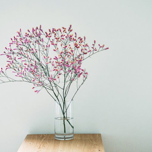 ハイブリッドスターチスピンク/ドライにもなる花 一輪挿し・花瓶