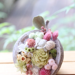 幸せを呼ぶ実  ブッダナッツ(小さめ)【パステルピンクのスイートアレンジ】 幸せを呼ぶ実 ブッダナッツ(小さめ)【パステルピンクのスイートアレンジ】