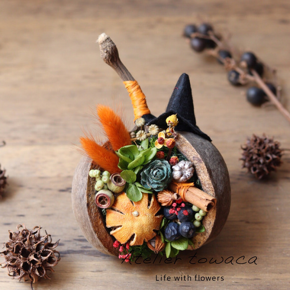 ブッダナッツ　ハロウィンアレンジ　　　　　　with witch's broom ブッダナッツ ハロウィンアレンジ with witch's broom - メルカリ