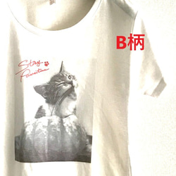 ヴィンテージ風モノクロフォトTシャツ / CATS 6枚目の画像