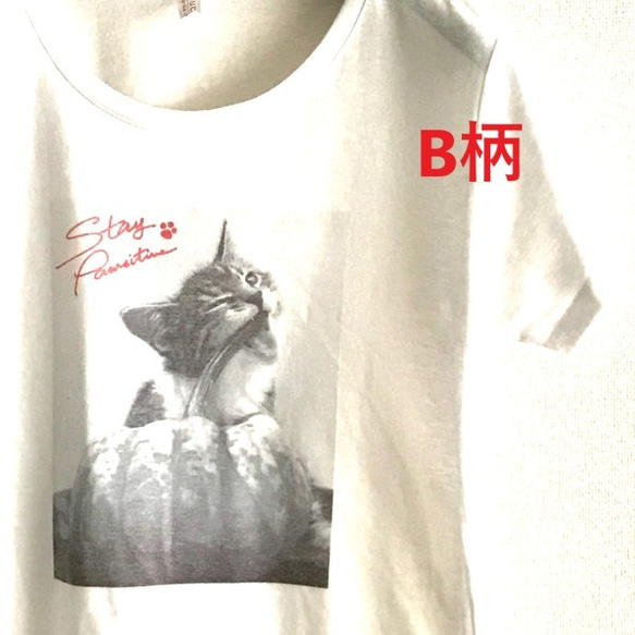 ヴィンテージ風モノクロフォトTシャツ / CATS 6枚目の画像