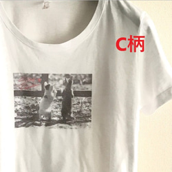 ヴィンテージ風モノクロフォトTシャツ / CATS 8枚目の画像