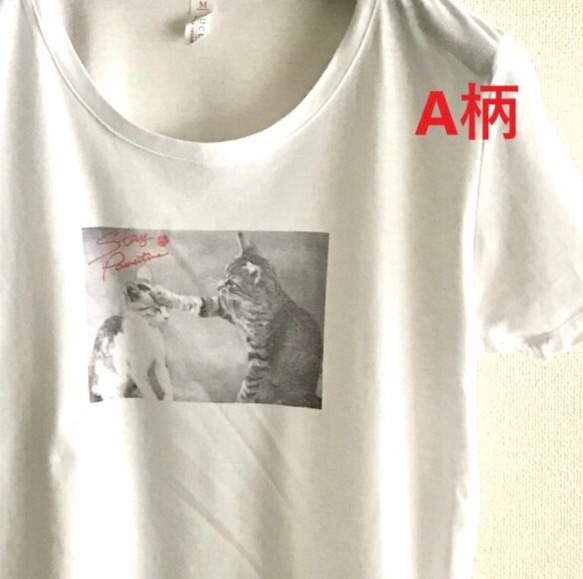 CATSモノクロフォトTシャツ4枚セット 3枚目の画像