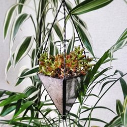 ステンドグラスの三角形プランター　【Triangular Planter】インテリア 1枚目の画像