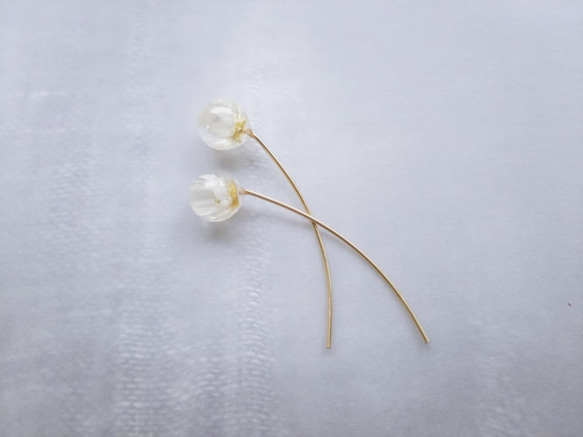 <受注製作>-dried flower-saku starflower＊14kgf 1枚目の画像