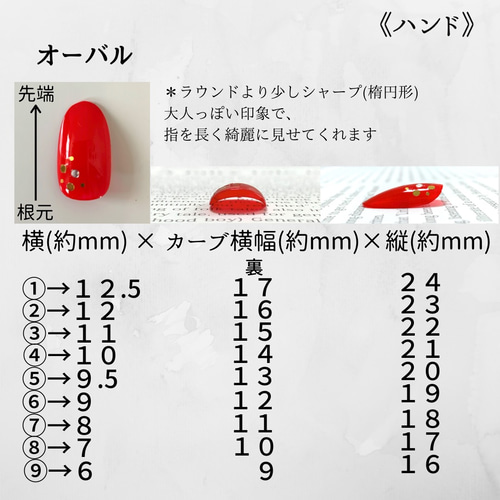 チップサイズ確認表(展示) ネイルチップ（つけ爪） milimilanail 通販