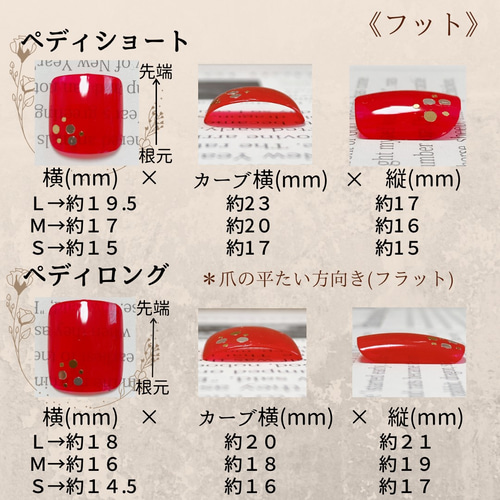 チップサイズ確認表(展示) ネイルチップ（つけ爪） milimilanail 通販