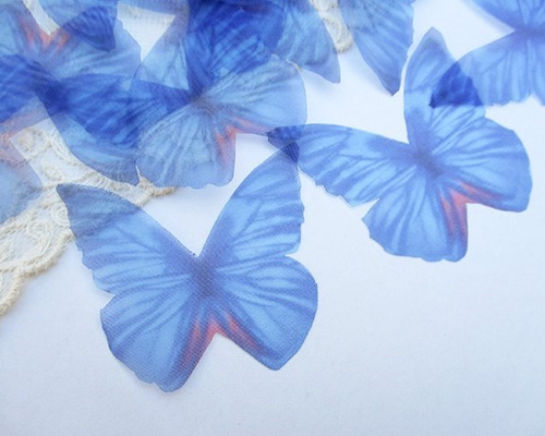 蝶ページ❤️ 商品詳細 | トレカアイテムくじOnline