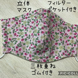 立体マスク　大人サイズ　いちご柄小　ピンク　ハンドメイド　フィルターポケット付き　ダブルガーゼ 1枚目の画像