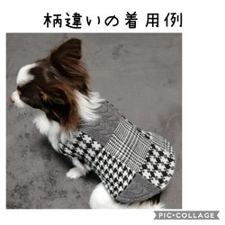 No.57　犬服　アウター　パッチワークコート　/チワワ/超小型犬　xxs 5枚目の画像