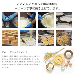 オーガニック素材のseedチーズ焼き菓子ミニギフト 5枚目の画像