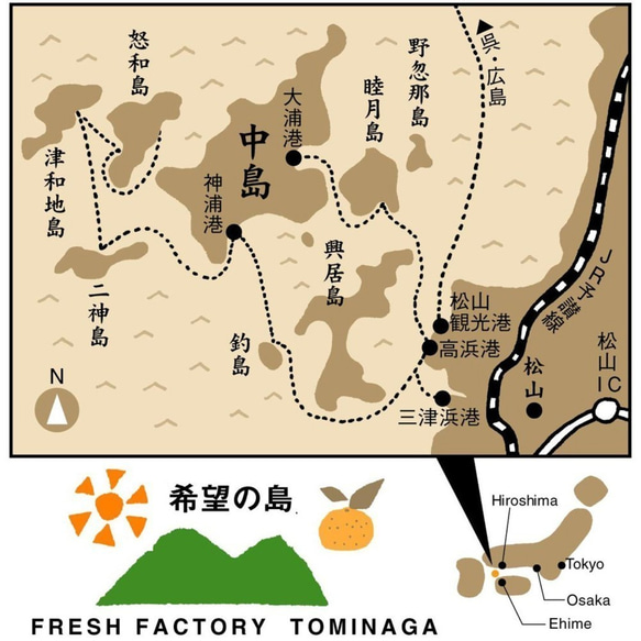 希望の島 島ライム果汁 150ml ストレート果汁 愛媛県産 国産 タヒチライム使用 8枚目の画像