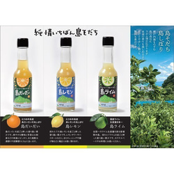 希望の島 香りの果汁 150ml 6本入 ストレート果汁（ライム、レモン、だいだい） 8枚目の画像