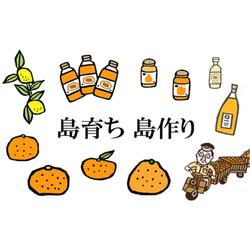 希望の島 丸しぼり果汁 250ml 3本 ギフト箱入 愛媛 中島産 みかんジュース(温州、伊予柑、清見) 8枚目の画像