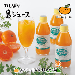 希望の島 丸しぼり果汁 250ml 6本 愛媛 中島産 みかんジュース(温州、伊予柑、清見) 1枚目の画像