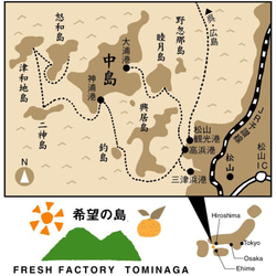 希望の島 丸しぼり果汁 250ml 6本 愛媛 中島産 みかんジュース(温州、伊予柑、清見) 9枚目の画像