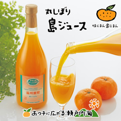 希望の島 丸しぼり果汁 720ml 3本 ギフト箱入 愛媛 中島産 みかんジュース(温州、伊予柑、清見) 1枚目の画像