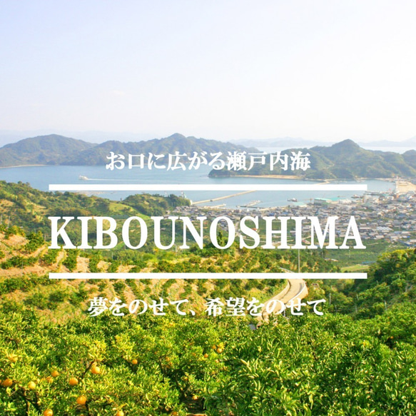 希望の島 グリーンレモン 2kg～ 家庭用 愛媛県 中島産 国産レモン 3枚目の画像