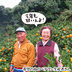 希望の島 中島まどんな 5kg 紅まどんなと同品種 愛媛県 中島産 8枚目の画像