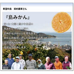 希望の島 温州みかん 粒より甘露 3kg 特選品 中玉 MLサイズ 愛媛県 中島産 お歳暮 ギフト 7枚目の画像