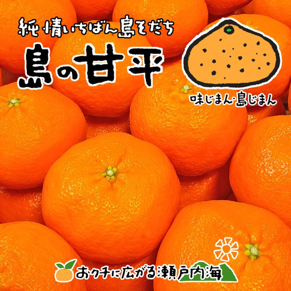 希望の島 甘平 2kg 訳あり品 サイズ込 愛媛 中島産 みかん 1枚目の画像