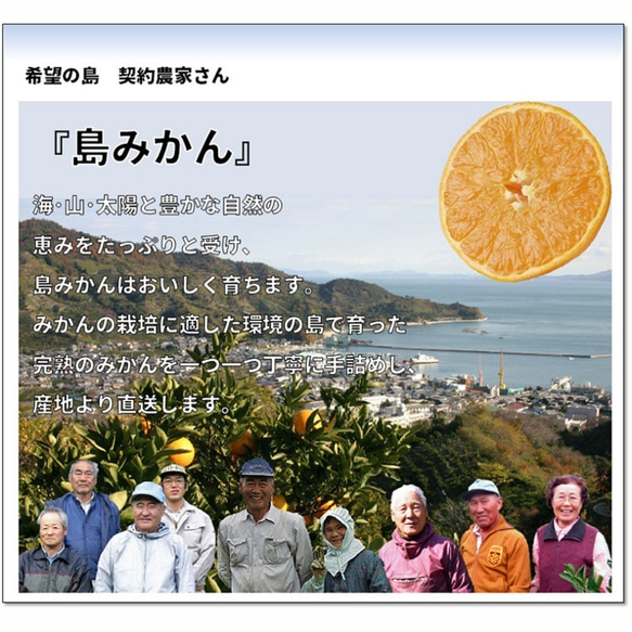希望の島 温州みかん 新品種 ゆたか 特選品 2kg 愛媛県 中島産 ギフト 8枚目の画像