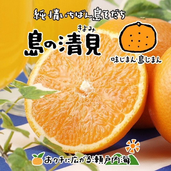 希望の島 清見 贈答用 5kg 中玉 愛媛県 中島産 みかん 島みかん 1枚目の画像