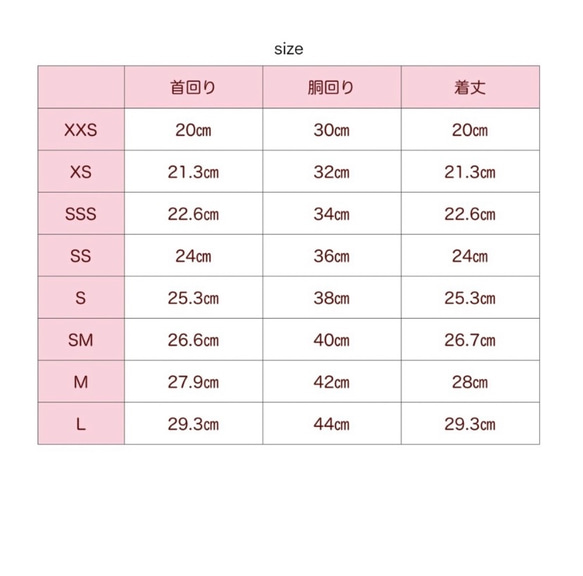  第5張的照片