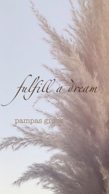 パンパスグラス