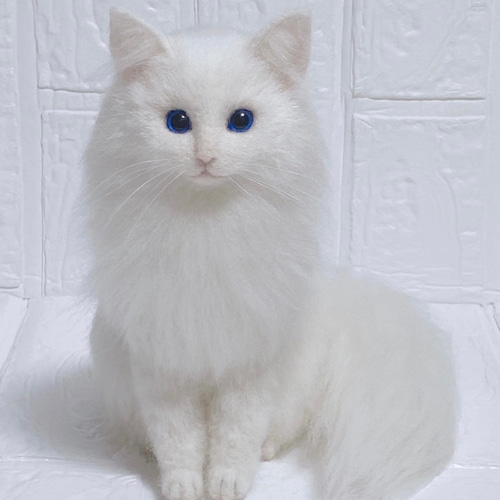 羊毛フェルト猫 白猫 長毛白猫 猫 リアル猫 羊毛フェルト pon