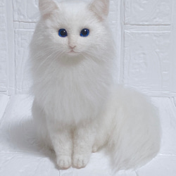 羊毛フェルト猫  白猫  長毛白猫   猫  リアル猫 1枚目の画像