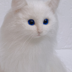 羊毛フェルト猫  白猫  長毛白猫   猫  リアル猫 6枚目の画像