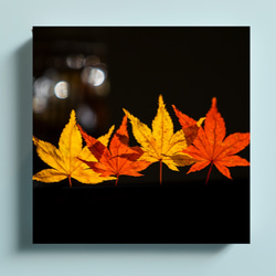 輝く紅葉　正方形キャンバスプリント・ファブリックパネル　お部屋の中も秋色にして四季を楽しもう！ 1枚目の画像