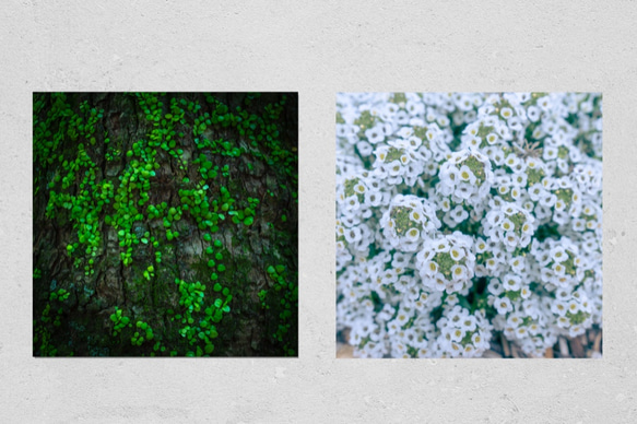 緑のつぶつぶ　正方形キャンバスプリント・ファブリックパネル　樹木の力強さを感じる作品です♪ 4枚目の画像