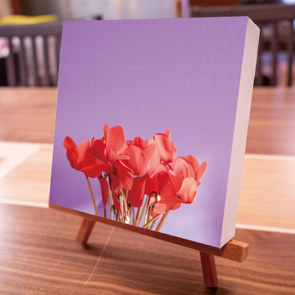 真紅花　正方形キャンバスプリント・ファブリックパネル　鮮やかな背景がお花とお部屋を際立たせます♪ 3枚目の画像