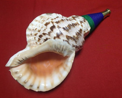 ほら貝、ホラ貝、法螺貝、40.4cm、2150g、 天然石 バンドウ