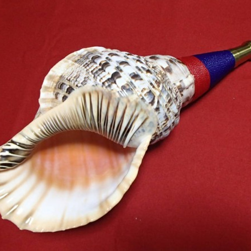 ほら貝、ホラ貝、法螺貝、39.6cm、1420g、手作り品、未使用 ほら貝、ホラ貝、法螺貝、39.6cm、1420g、手作り品、未使用
