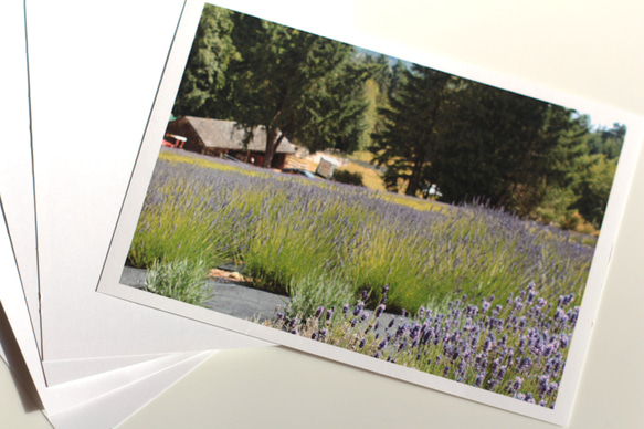 カナダの風景　ラベンダー畑のポストカード 5枚セット 2枚目の画像