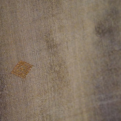 ✴️値下げしました　〜柔らかなシルクの光沢煌めく、手織り布〜　ブラウスVネック　絹　ルンタヤ　208B006 6枚目の画像
