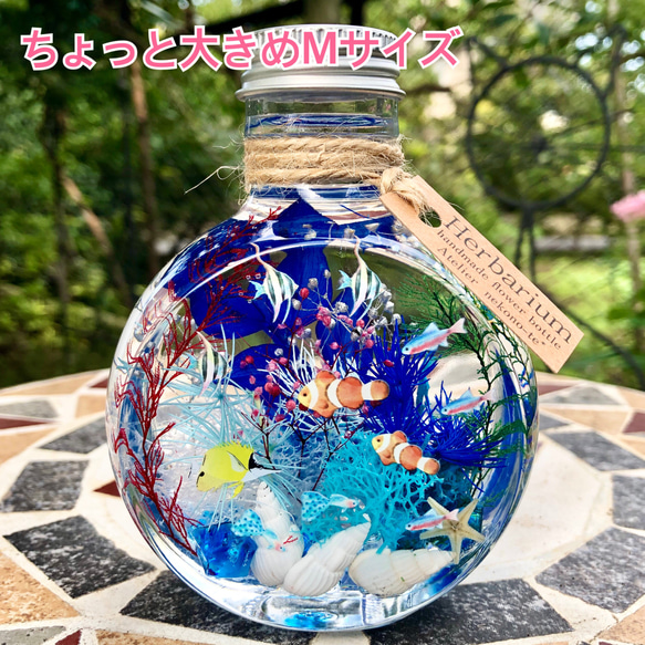 アクアハーバリウム　熱帯魚① ネコ瓶　Mサイズ（150ml ） 1枚目の画像