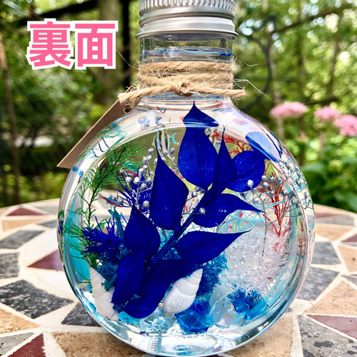 アクアハーバリウム 熱帯魚 ネコ瓶 Mサイズ（150ml ） ハーバリウム