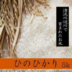 令和5年産新米　精白米ひのひかり5ｋg　熊本県相良村産　　 1枚目の画像