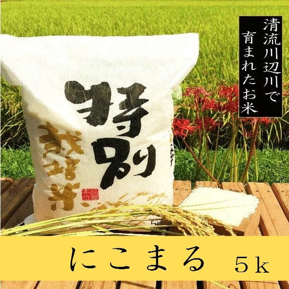 特別栽培米にこまる5ｋg　熊本県相良村産　令和5年産新米　精白米 1枚目の画像