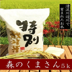 令和5年産新米　特別栽培米森のくまさん5ｋg　熊本県相良村産　精白米 1枚目の画像