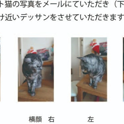 猫の似顔絵を陶器に！　「オーダーマイ猫写真にてデッサン」 7枚目の画像