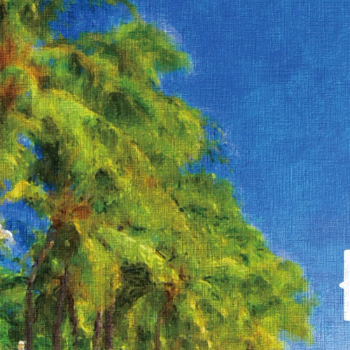 【最終お値下げ】HAWAII ハワイ ビンテージアート絵画 額付きフォトフレーム 楽天市場】【11×14インチ】アンティーク ウッドフレーム 【28.0