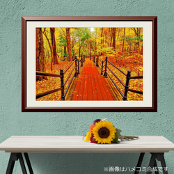 【アートポスター】カナダ 落ち葉の遊歩道（作品No.255） 1枚目の画像